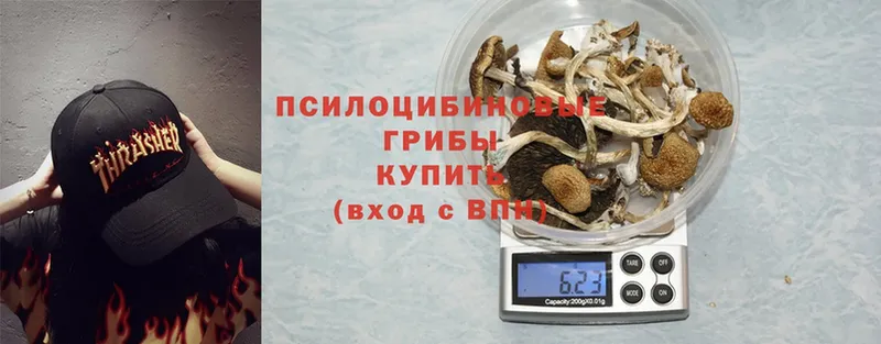 блэк спрут зеркало  shop как зайти  Галлюциногенные грибы Magic Shrooms  Калач 